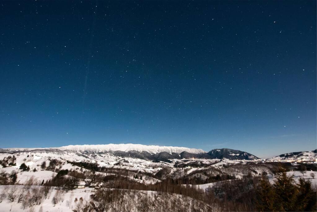 Vila Serar Moieciu de Jos Esterno foto